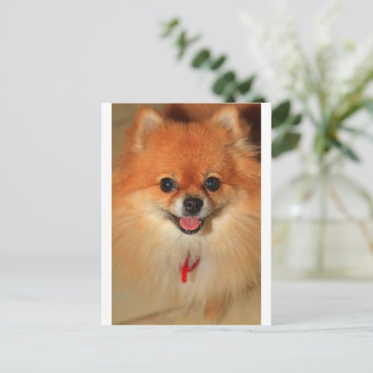 Pommern Briefkaart (Staand voorkant)