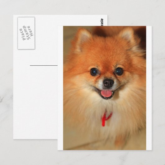 Pommern Briefkaart (Voorkant / Achterkant)