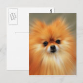 Pommern Briefkaart (Voorkant / Achterkant)