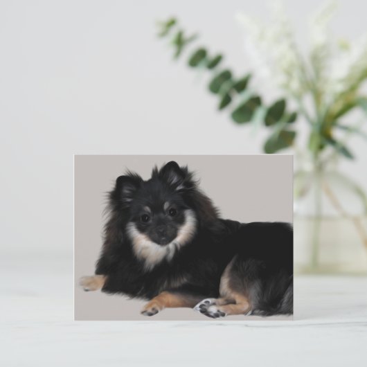 Pommern Briefkaart (Staand voorkant)