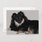 Pommern Briefkaart (Voorkant / Achterkant)