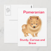 Pommern Briefkaart (Voorkant / Achterkant)