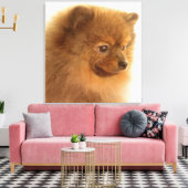 Pommern Canvas Afdruk (Insitu (Woonkamer))