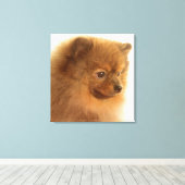 Pommern Canvas Afdruk (Insitu (Houten vloer))