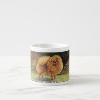 Pommern Espresso Kop