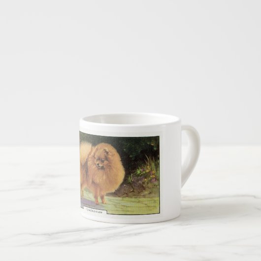 Pommern Espresso Kop (Voorkant rechts)