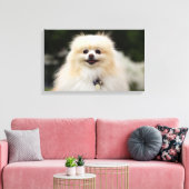 Pommern Headshot 1 Canvas Afdruk (Insitu (Woonkamer))