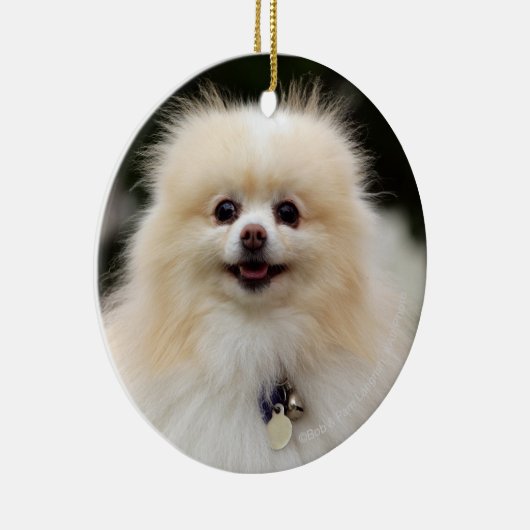 Pommern Headshot 1 Keramisch Ornament (Rechts)