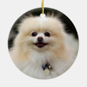 Pommern Headshot 1 Keramisch Ornament (Achterkant)