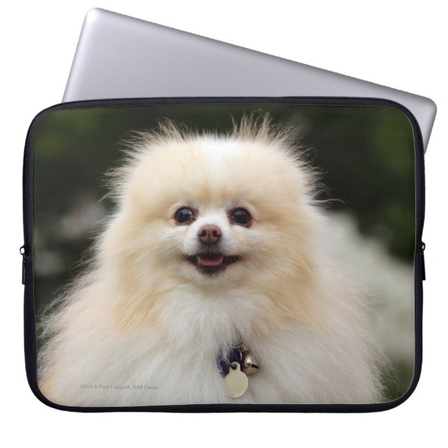 Pommern Headshot 1 Laptop Sleeve (Voorkant)