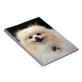 Pommern Headshot 1 Notitieboek (Rechterzijde)