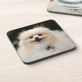 Pommern Headshot 1 Onderzetter (Linkerzijde)