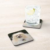 Pommern Headshot 1 Onderzetter (Rechterzijde)