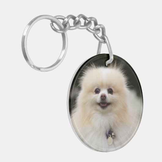 Pommern Headshot 1 Sleutelhanger (Voorkant Links)