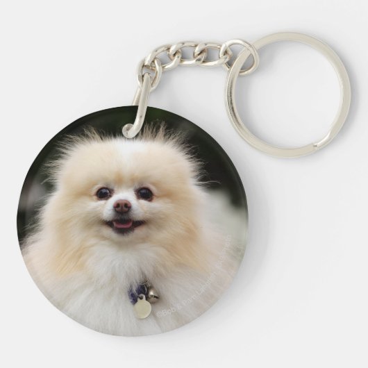 Pommern Headshot 1 Sleutelhanger (Achterkant)