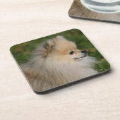 Pommern Headshot 2 Bier Onderzetter (Linkerzijde)