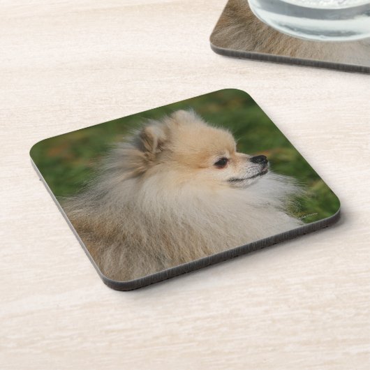 Pommern Headshot 2 Bier Onderzetter (Linkerzijde)