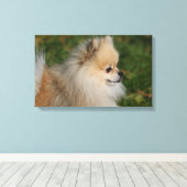 Pommern Headshot 2 Canvas Afdruk (Insitu (Houten vloer))