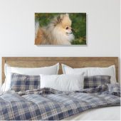 Pommern Headshot 2 Canvas Afdruk (Insitu (Slaapkamer))