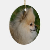 Pommern Headshot 2 Keramisch Ornament (Rechts)