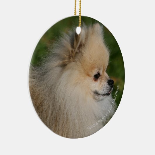 Pommern Headshot 2 Keramisch Ornament (Rechts)