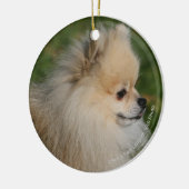 Pommern Headshot 2 Keramisch Ornament (Links)