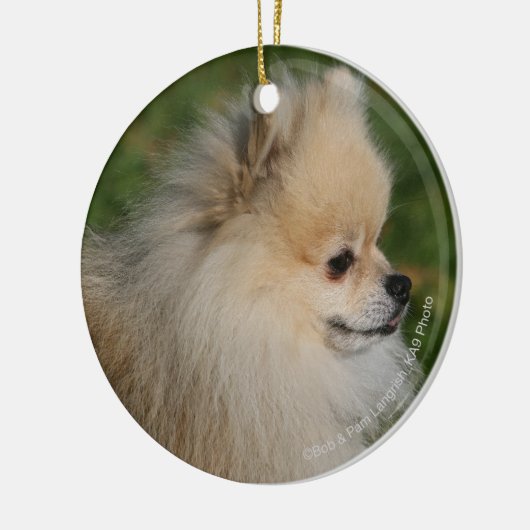 Pommern Headshot 2 Keramisch Ornament (Links)