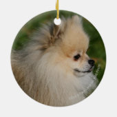 Pommern Headshot 2 Keramisch Ornament (Achterkant)