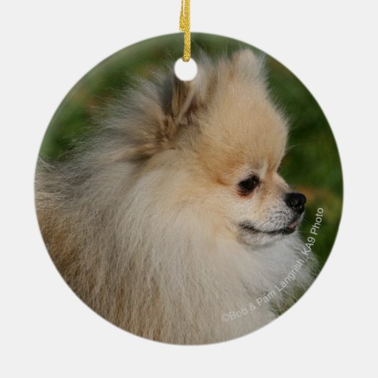 Pommern Headshot 2 Keramisch Ornament (Achterkant)