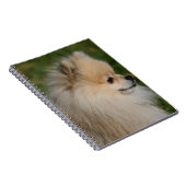 Pommern Headshot 2 Notitieboek (Rechterzijde)