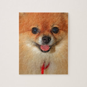 Pommern Legpuzzel