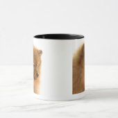 Pommern Mok (Midden)