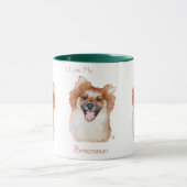 Pommern Mok (Midden)