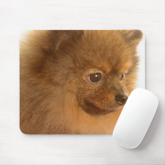 Pommern Muismat (Met muis)