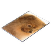 Pommern Notitieboek (Linkerzijde)