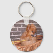 Pommern Sleutelhanger (Voorkant)