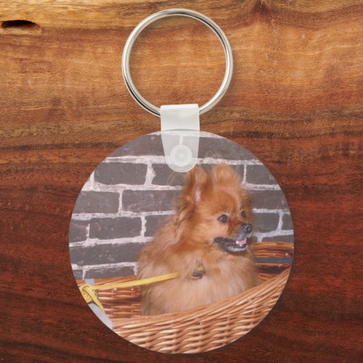 Pommern Sleutelhanger (Voorkant)