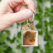 Pommern Sleutelhanger (Hand)