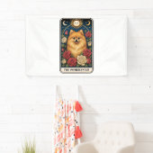 Pommern Spandoek (Insitu)