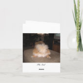 Pommerse Bedankt Opmerking Kaart (Achterkant)