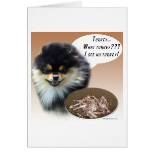 Pommerse (blittan) Turkije