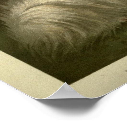  Pommerse en Maltese hondenschildering Poster (Hoek)