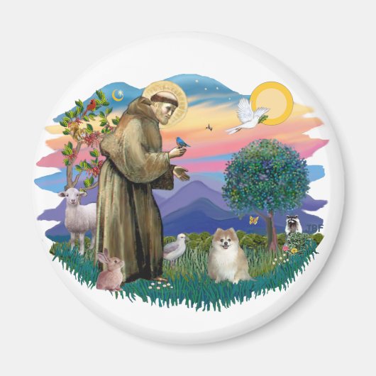 Pommerse (fawn) magneet (Voorkant)