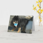 Pommerse feestkledij ~ Verjaardag Kaart (Gele Bloem)