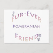 Pommerse Furever Briefkaart (Voorkant)