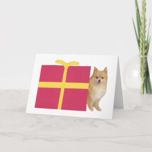 Pommerse geschenkdoos feestdagen kaart (Voorkant)