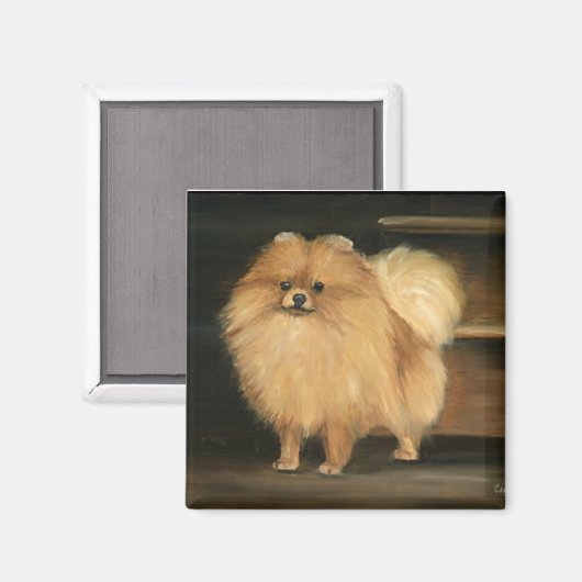 Pommerse Hond Art Magnet (Voorkant / Achterkant)
