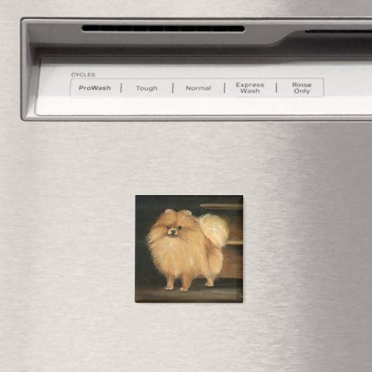 Pommerse Hond Art Magnet (Insitu (Vaatwasser))