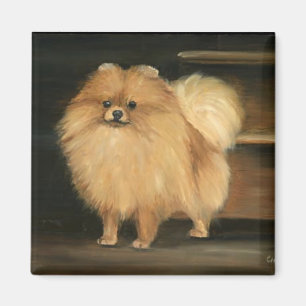 Pommerse Hond Art Magnet