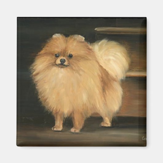 Pommerse Hond Art Magnet (Voorkant)